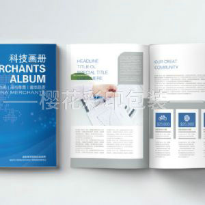 企業(yè)畫冊(cè)樣本